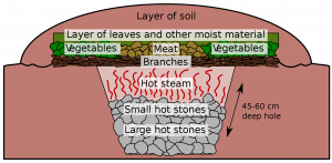 maori-earth-oven